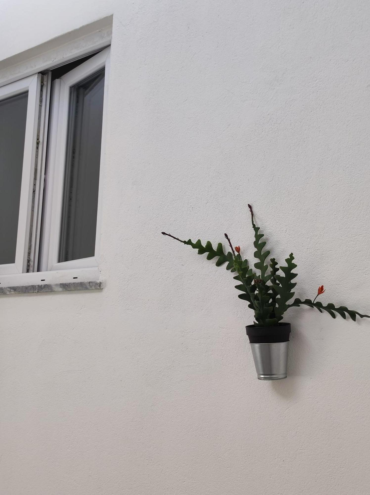 Divine Room Faro Exterior photo